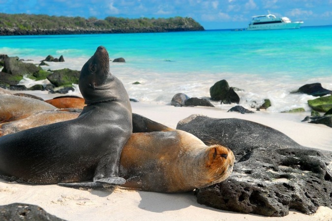 Overview 12 Days 3 Islands Galapagos