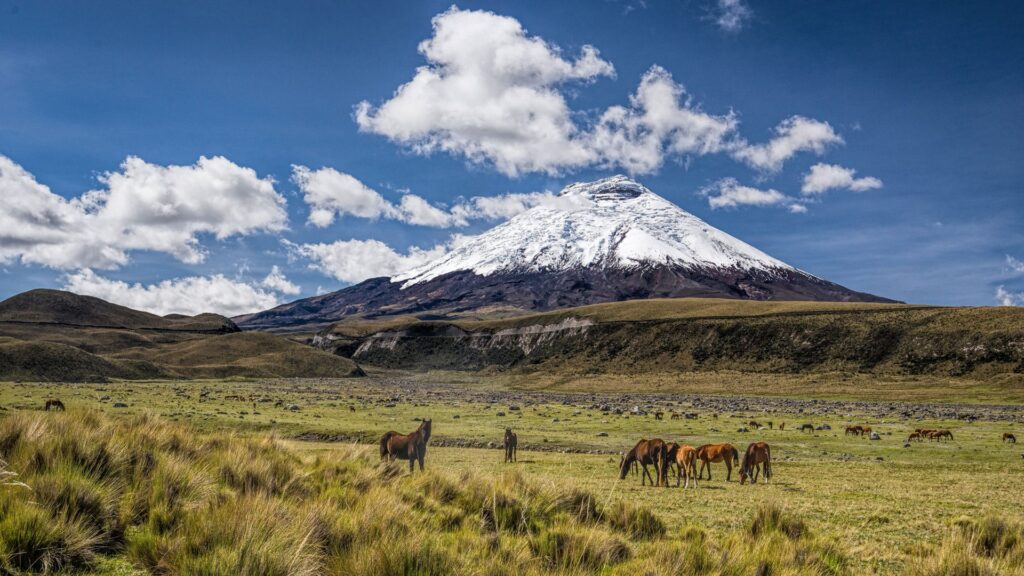 7 Days Budget Ecuador